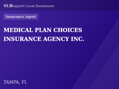 MEDICAL PLAN CHOICES INSURANCE AGENCY INC. — Insurance Agent in TAMPA, FL