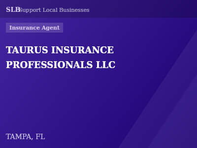 TAURUS INSURANCE PROFESSIONALS LLC — Insurance Agent in TAMPA, FL