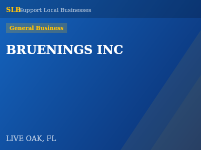 BRUENINGS INC — General Business in LIVE OAK, FL