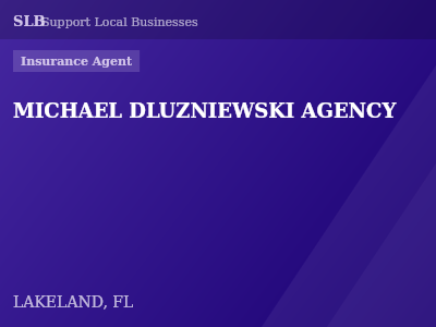 MICHAEL DLUZNIEWSKI AGENCY — Insurance Agent in LAKELAND, FL