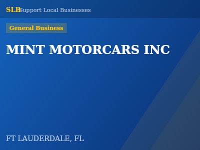 MINT MOTORCARS INC — General Business in FT LAUDERDALE, FL
