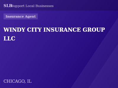 WINDY CITY INSURANCE GROUP LLC — Insurance Agent in CHICAGO, IL