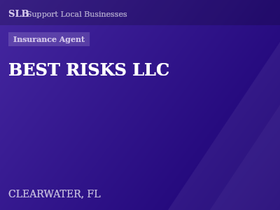 BEST RISKS LLC — Insurance Agent in CLEARWATER, FL