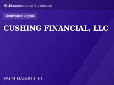 CUSHING FINANCIAL, LLC — Insurance Agent in PALM HARBOR, FL