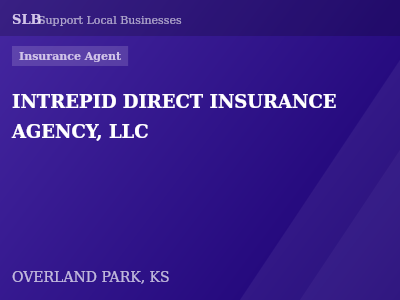 INTREPID DIRECT INSURANCE AGENCY, LLC — Insurance Agent in OVERLAND PARK, KS