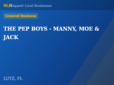 THE PEP BOYS - MANNY, MOE & JACK — General Business in LUTZ, FL