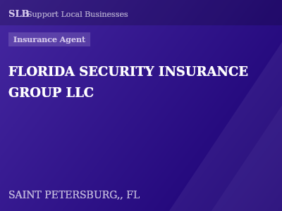 FLORIDA SECURITY INSURANCE GROUP LLC — Insurance Agent in SAINT PETERSBURG,, FL