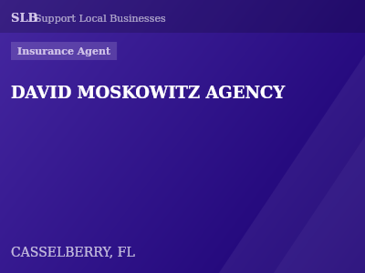 DAVID MOSKOWITZ AGENCY — Insurance Agent in CASSELBERRY, FL