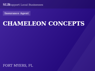 CHAMELEON CONCEPTS — Insurance Agent in FORT MYERS, FL