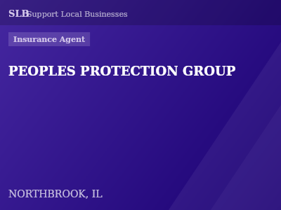 PEOPLES PROTECTION GROUP — Insurance Agent in NORTHBROOK, IL