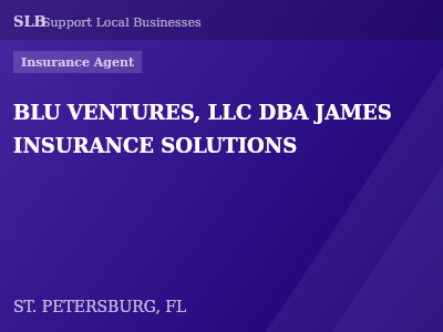 BLU VENTURES, LLC DBA JAMES INSURANCE SOLUTIONS — Insurance Agent in ST. PETERSBURG, FL