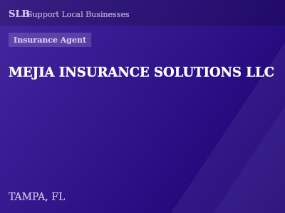 MEJIA INSURANCE SOLUTIONS LLC — Insurance Agent in TAMPA, FL