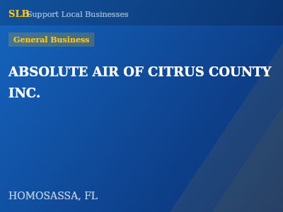 ABSOLUTE AIR OF CITRUS COUNTY INC. — General Business in HOMOSASSA, FL