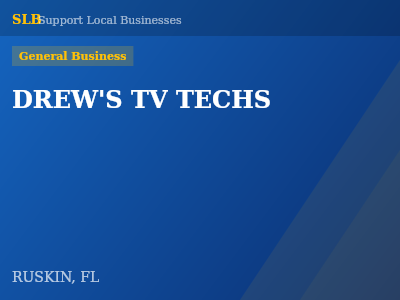 DREW'S TV TECHS — General Business in RUSKIN, FL