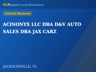 ACINONYX LLC DBA D&V AUTO SALES DBA JAX CARZ — General Business in JACKSONVILLE, FL