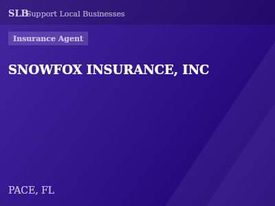 SNOWFOX INSURANCE, INC — Insurance Agent in PACE, FL