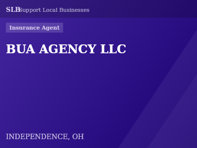 BUA AGENCY LLC — Insurance Agent in INDEPENDENCE, OH
