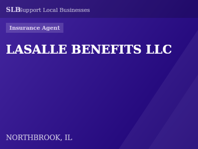 LASALLE BENEFITS LLC — Insurance Agent in NORTHBROOK, IL