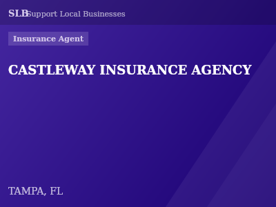 CASTLEWAY INSURANCE AGENCY — Insurance Agent in TAMPA, FL