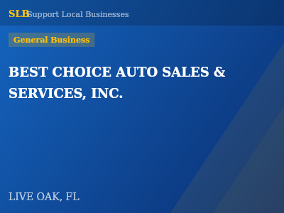 BEST CHOICE AUTO SALES & SERVICES, INC. — General Business in LIVE OAK, FL