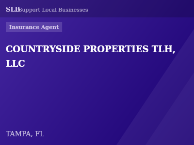 COUNTRYSIDE PROPERTIES TLH, LLC — Insurance Agent in TAMPA, FL
