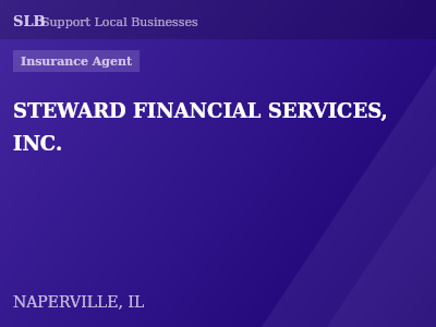 STEWARD FINANCIAL SERVICES, INC. — Insurance Agent in NAPERVILLE, IL