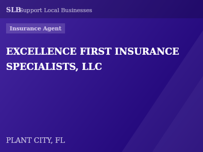 EXCELLENCE FIRST INSURANCE SPECIALISTS, LLC — Insurance Agent in PLANT CITY, FL