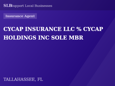 CYCAP INSURANCE LLC % CYCAP HOLDINGS INC SOLE MBR — Insurance Agent in TALLAHASSEE, FL