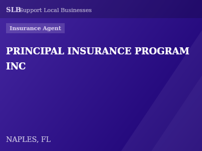 PRINCIPAL INSURANCE PROGRAM INC — Insurance Agent in NAPLES, FL
