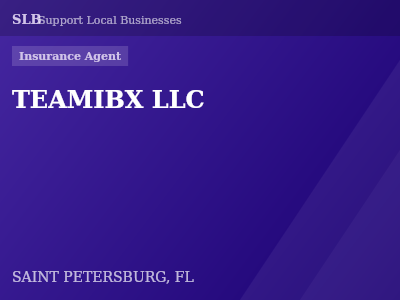 TEAMIBX LLC — Insurance Agent in SAINT PETERSBURG, FL