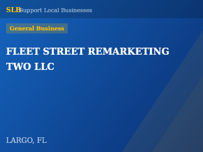 FLEET STREET REMARKETING TWO LLC — General Business in LARGO, FL