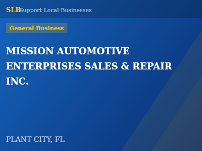 MISSION AUTOMOTIVE ENTERPRISES SALES & REPAIR INC. — General Business in PLANT CITY, FL