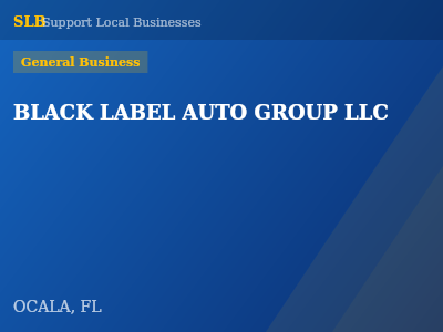 BLACK LABEL AUTO GROUP LLC — General Business in OCALA, FL