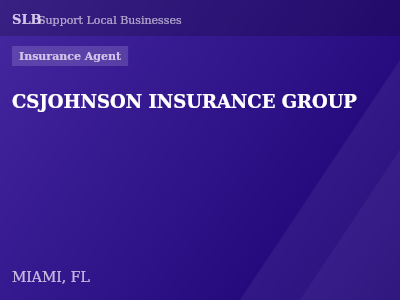 CSJOHNSON INSURANCE GROUP — Insurance Agent in MIAMI, FL