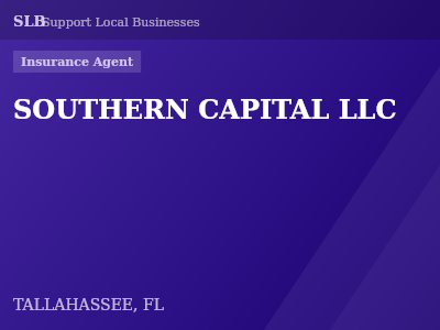 SOUTHERN CAPITAL LLC — Insurance Agent in TALLAHASSEE, FL