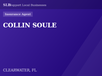 COLLIN SOULE — Insurance Agent in CLEARWATER, FL