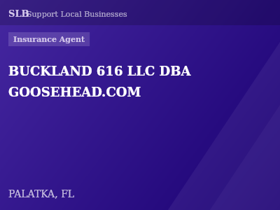 BUCKLAND 616 LLC DBA GOOSEHEAD.COM — Insurance Agent in PALATKA, FL