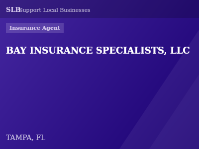 BAY INSURANCE SPECIALISTS, LLC — Insurance Agent in TAMPA, FL