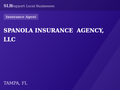SPANOLA INSURANCE  AGENCY, LLC — Insurance Agent in TAMPA, FL