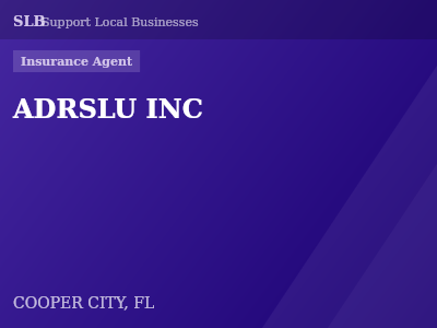 ADRSLU INC — Insurance Agent in COOPER CITY, FL
