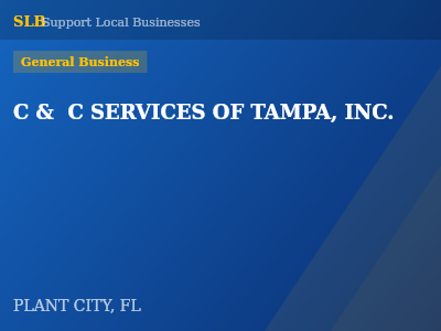 C &  C SERVICES OF TAMPA, INC. — General Business in PLANT CITY, FL