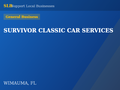 SURVIVOR CLASSIC CAR SERVICES — General Business in WIMAUMA, FL