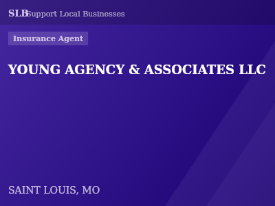 YOUNG AGENCY & ASSOCIATES LLC — Insurance Agent in SAINT LOUIS, MO