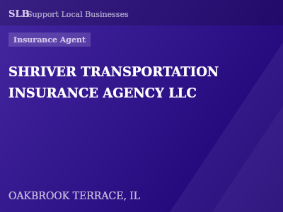 SHRIVER TRANSPORTATION INSURANCE AGENCY LLC — Insurance Agent in OAKBROOK TERRACE, IL