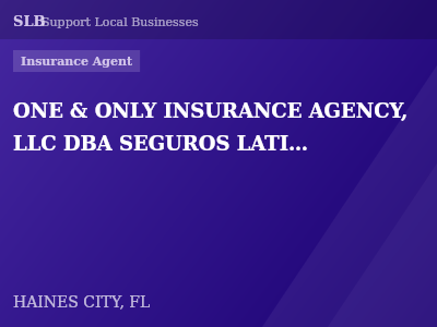 ONE & ONLY INSURANCE AGENCY, LLC DBA SEGUROS LATINOS — Insurance Agent in HAINES CITY, FL