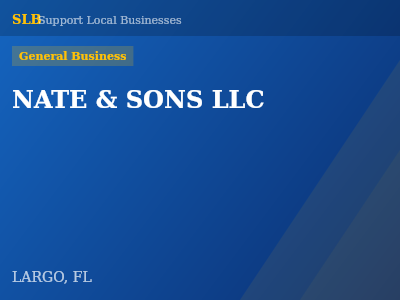 NATE & SONS LLC — General Business in LARGO, FL
