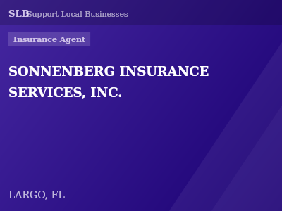 SONNENBERG INSURANCE SERVICES, INC. — Insurance Agent in LARGO, FL