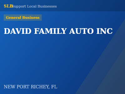 DAVID FAMILY AUTO INC — General Business in NEW PORT RICHEY, FL