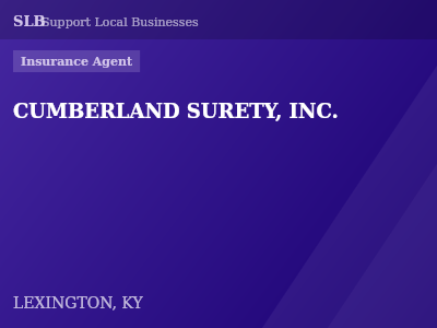 CUMBERLAND SURETY, INC. — Insurance Agent in LEXINGTON, KY