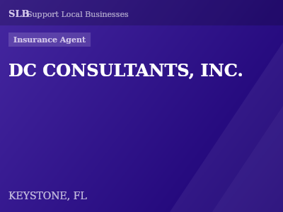 DC CONSULTANTS, INC. — Insurance Agent in KEYSTONE, FL